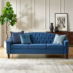 a blue couch in a living room with pillows on top of it and a potted plant next to it