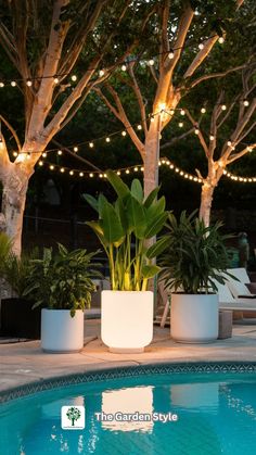 potted plants sit on the edge of a pool in front of string lights and trees