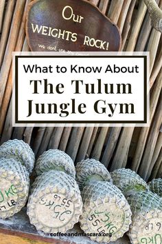 an advertisement for the tulum jungle gym in front of a basket full of pineapples