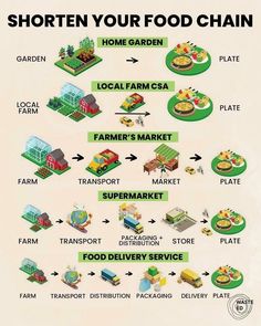 the food chain is shown in this diagram, with different types of foods on it