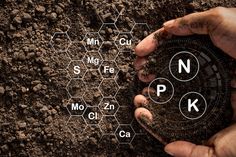 two hands holding soil with the names of each element