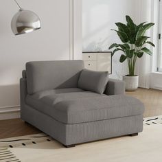 a living room with a couch, chair and potted plant