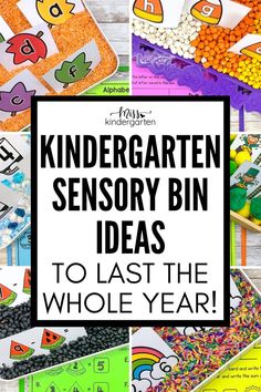 Six seasonal sensory bins Sensory Bins For Kindergarten, Transitional Kindergarten Classroom, Special Education Centers, Kindergarten Sensory, Sensory Classroom, Sensory Bin Ideas, Miss Kindergarten