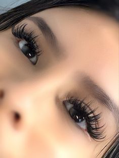 Super Wispy Lash Extensions, Spiky Wispy Lash Extensions, Wispy Wet Look Lash Extensions, Wispy Doll Eyelash Extensions, Latina Lash Extensions, 4d Lash Extensions, Wet Wispy Lashes, 20 Mm Lash Extensions, Eyelashes For Round Eyes