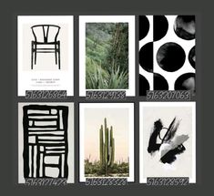 four different black and white pictures with cactuses