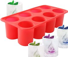 six cups with plants in them and one cup filled with ice on the bottom, sitting next to each other