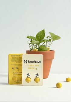 a potted plant next to a seed packet and some tiny yellow balls on a white surface