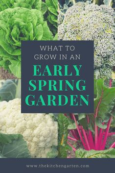 the words, what to grow in an early spring garden are overlaid by images of cauliflower and broccoli