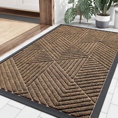 a large brown rug on the floor next to a potted plant