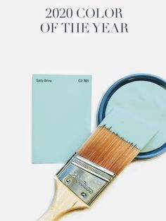 a paint brush with a blue hue next to it and the words, 2020 color of the year