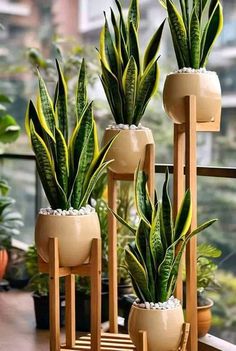 three potted plants sitting on top of wooden stands next to each other in front of a window