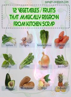 the twelve vegetables and fruits that might regrow from kitchen scraps are shown here