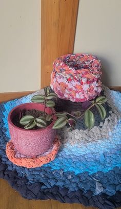 a potted plant sitting on top of a blue and pink rug next to a wooden door