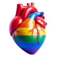 a rainbow colored heart with red and blue blood vessels