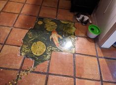 a cat laying on the floor in front of a door with an image of a koi fish and lily pads