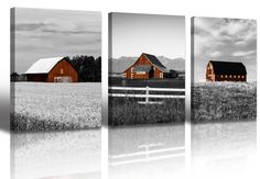 three black and white pictures of barns in a field