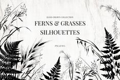 ferns and grasses silhouetted against a white background with the words, field grown collection