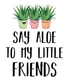 three potted plants with the words say aloe to my little friends