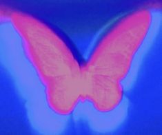 a pink butterfly flying through the air