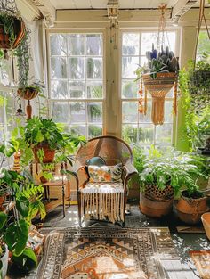 a room filled with lots of potted plants