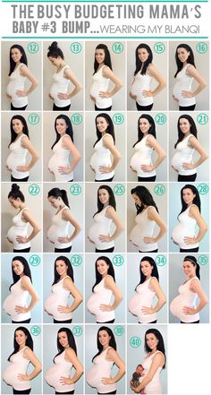 pregnant women's belly pictures are shown in multiple stages, including the size and shape of