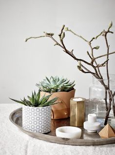 three succulents and two candles are on a tray next to each other