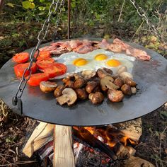 an outdoor grill with eggs, mushrooms and tomatoes on it