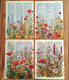 four pictures of wildflowers on top of an old book page, each with different colored flowers