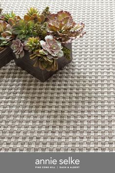 an arrangement of succulents in a wooden box on a woven tablecloth