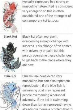 the different types of koi fish are shown in this article, which includes information on how to use them