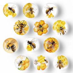 bees and honeycombs in glass plates on a white background