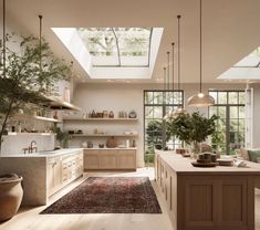 an open kitchen with skylights and lots of natural light in the ceiling, along with potted plants