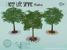 three trees with hands on them and the words keep life simple