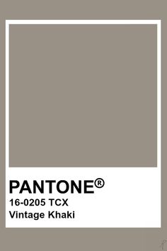 pantone's color is shown with the name and symbol for this item in white