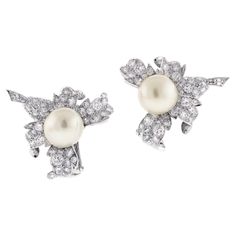 Experience the epitome of luxury with Van Cleef & Arpels Diamond Leaf South Sea Pearl Earrings. These breathtaking earrings combine the timeless elegance of South Sea pearls with the dazzling brilliance of expertly set diamonds, creating a masterpiece of fine jewelry. Each earring features a radiant South Sea button pearl, measuring approximately 12mm. Renowned for their luminous quality and unparalleled luster, these pearls exude a natural beauty that captivates the eye. Accentuating the pearls are 135 meticulously set diamonds, with a total weight of 4 carats. These diamonds are intricately arranged in a delicate leaf motif, showcasing the exceptional craftsmanship and attention to detail that Van Cleef & Arpels is celebrated for. The diamonds' exquisite sparkle enhances the natural radi Van Cleef Arpels Diamond, South Sea Pearls Earrings, Van Cleef And Arpels, Leaf Motif, Sea Pearl, Immune Health, South Seas, Sea Pearls, South Sea Pearls