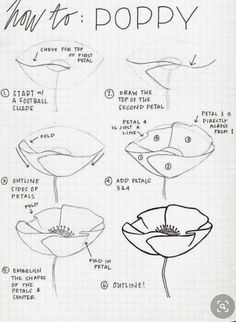 how to do poppy flowers with instructions for drawing them in pencil and watercolors