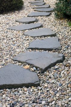 a stone path in the middle of gravel