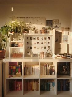 a bookshelf filled with lots of books next to a potted house plant