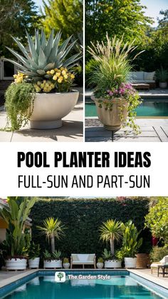 an outdoor pool with plants and potted plants next to it