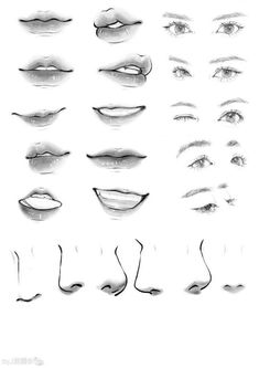 an image of different types of eyes