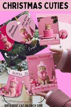 pink cat gifts for Christmas Christmas Pink, Ginger Cats, Pink Cat, Christmas Cats