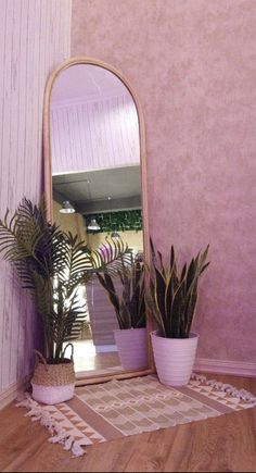 a mirror sitting on top of a wooden floor next to two potted plantes