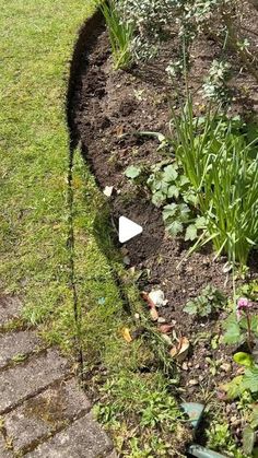 Alexander’s gardening on Instagram: "Lawn edging is incredibly satisfying! It’s the little details that make a big difference in the garden, and it’s amazing how something as simple as lawn edging can bring so much satisfaction. I absolutely love it! 😄👌🏼🌿

#howto #gardening #gardeninglife #satisfying #oddlysatisfying #satisfyingvideos #lawnedging #lawn #lawnmaintenance #handtools" Lawn Edging, Lawn Maintenance, Oddly Satisfying, In The Garden, The Garden, Love It, Lawn, Alexander, Bring It On