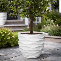 a white planter with a tree in it on a brick walkway next to flowers