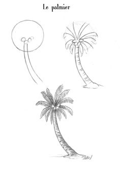 a drawing of two palm trees with the words le palmier written in french on it