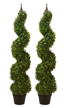 two tall potted plants are shown in the shape of spirally shaped bushes, one is