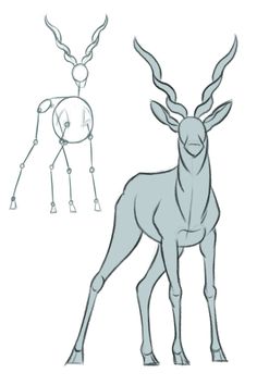 an antelope is shown in three different poses, including the legs and head