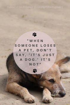 a dog laying on the ground with a quote above it that says, when someone loses a pet, don't say, it's just a dog its not