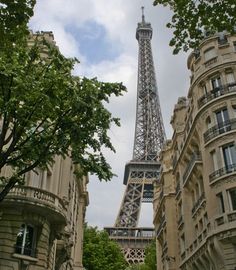 the eiffel tower towering over other buildings