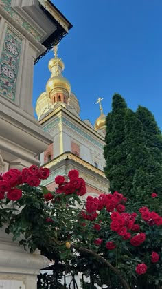 red roses in front of a church with a golden steeple